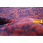 فرش سرمه ای طرح لاجورد2