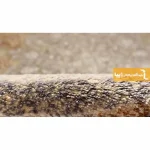 فرش گرد کرم طرح شاهکار2