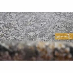 فرش طوسی طرح افشار3